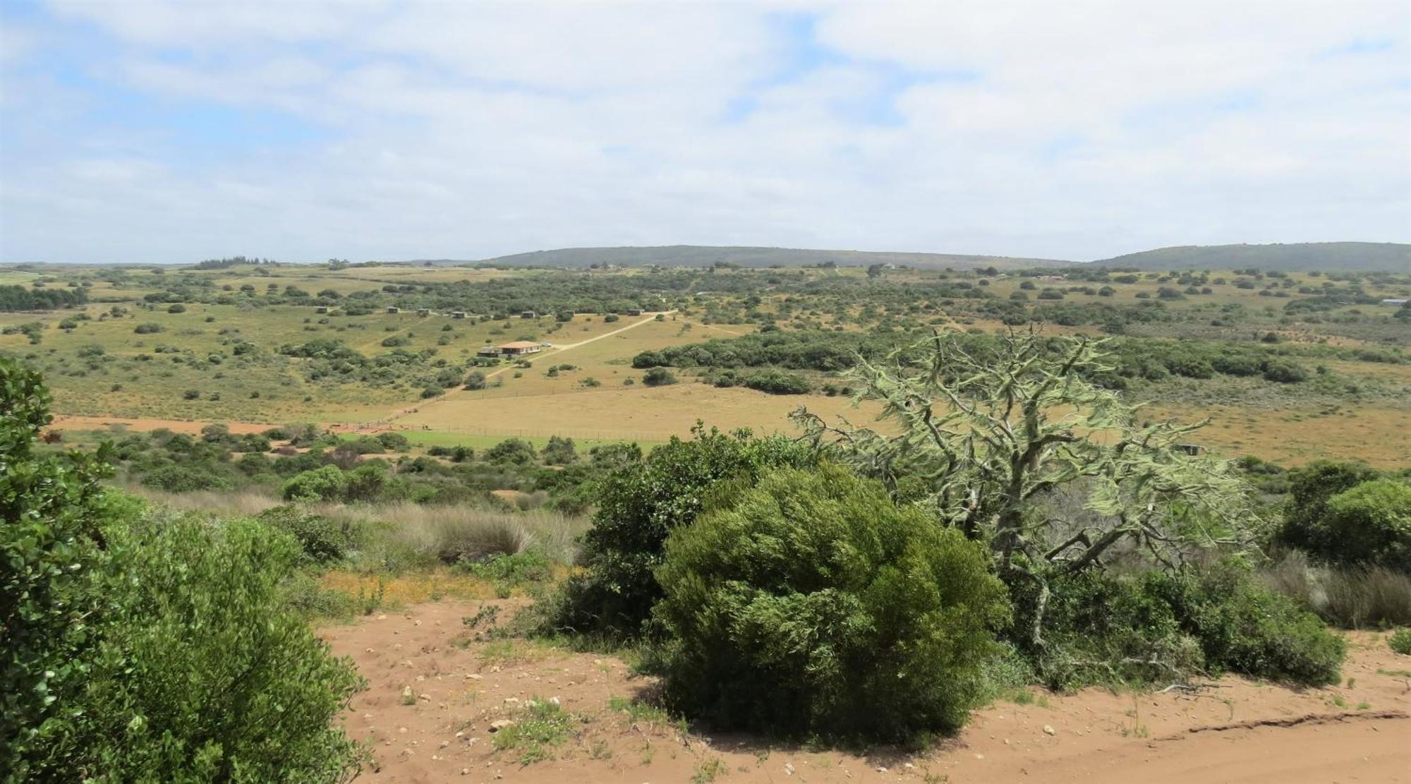 Baardbos Private Game Reserve Lejlighed Stilbaai Eksteriør billede