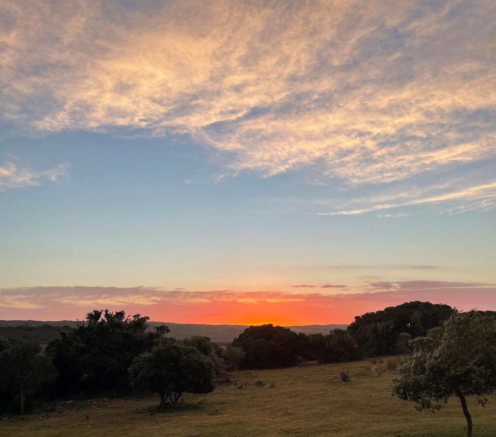 Baardbos Private Game Reserve Lejlighed Stilbaai Eksteriør billede