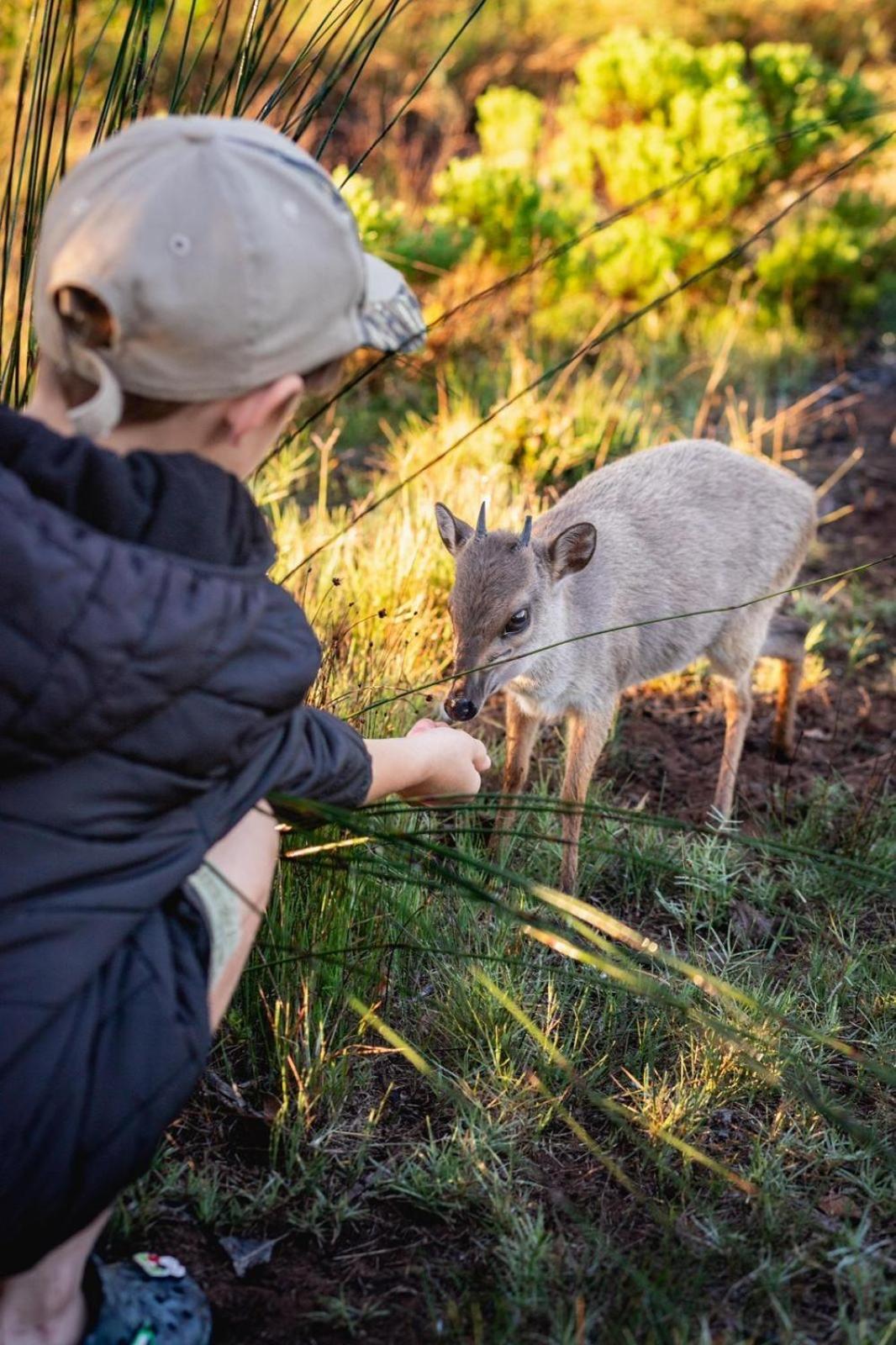 Baardbos Private Game Reserve Lejlighed Stilbaai Eksteriør billede